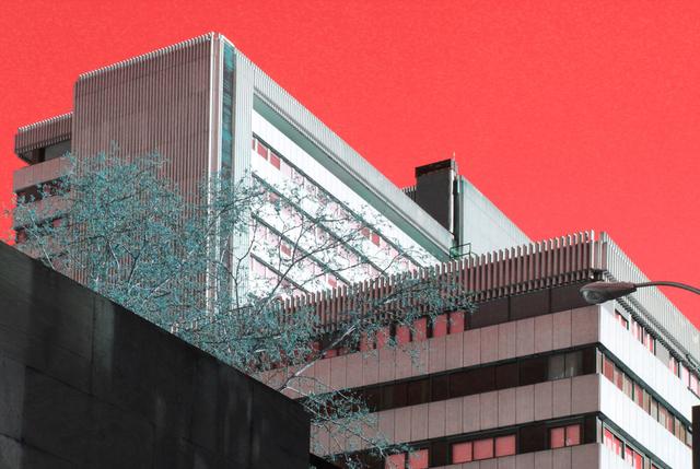 Renkli Güneşlere Doğru