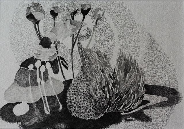 "Symbiotic life"