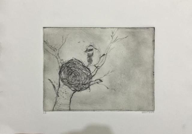 Birds in nest