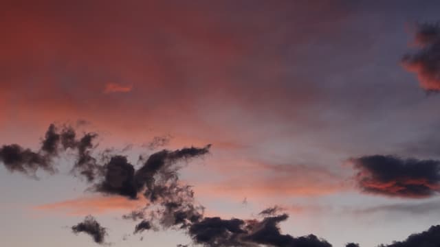 Flamingo clouds