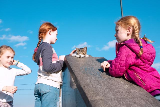 Çocuklar ve kedi
