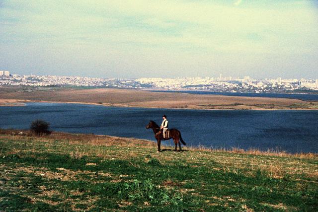 'Magie des Chevaux'