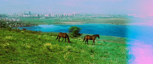 Musketeers of Kindness - 'Magie des Chevaux'