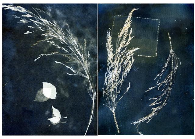 cyanotype baskı